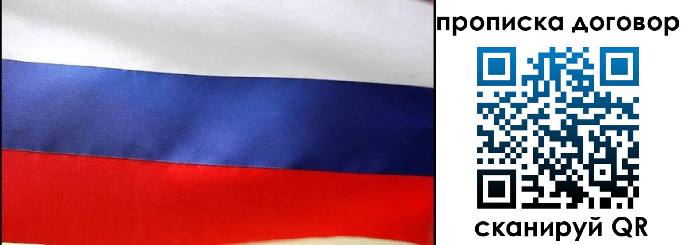 прописка гарантия в Далматово